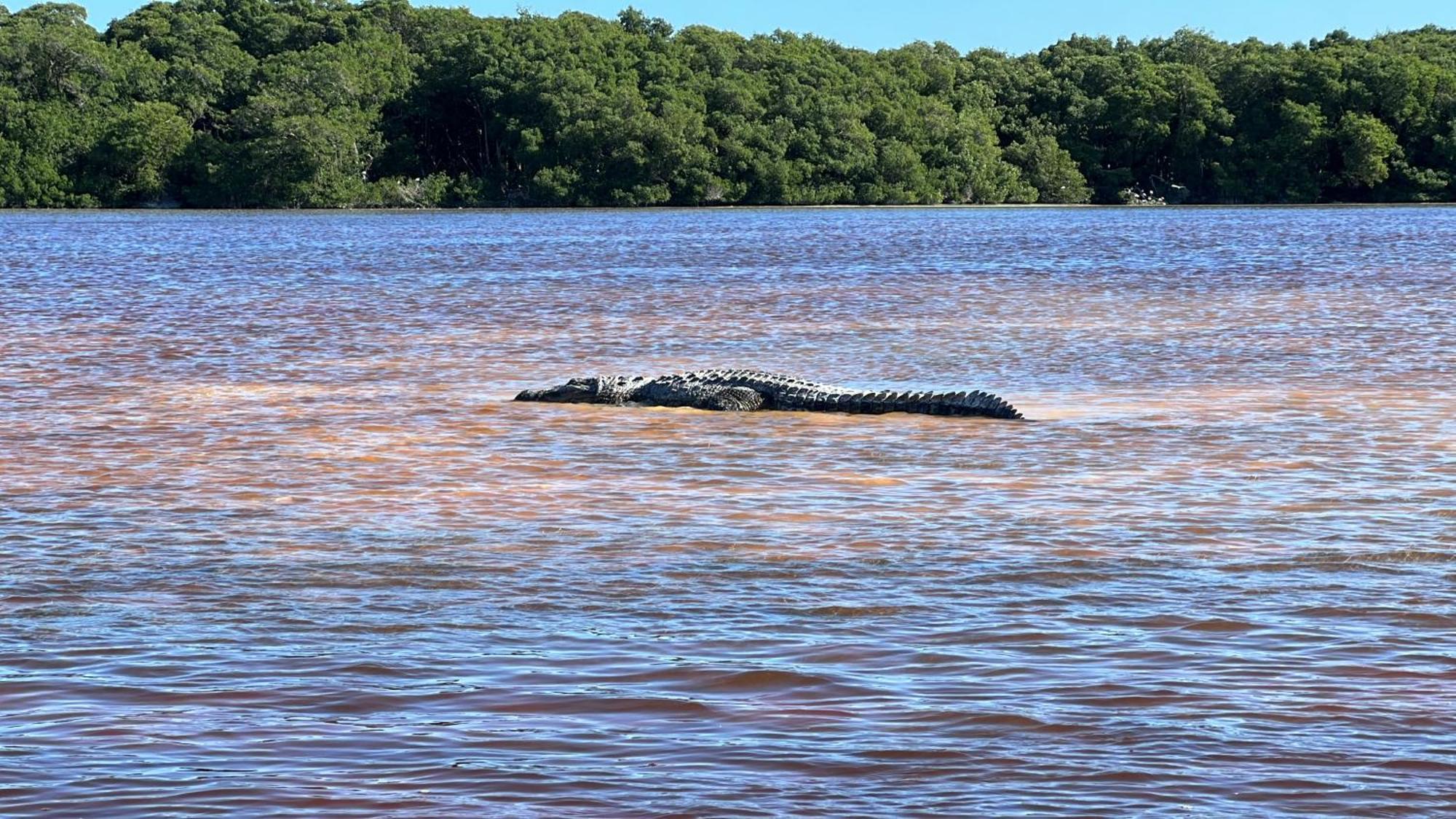 Casa Descanso Maya Con Alberca Privada, A 10 Min Del Aeropuerto เมริดา ภายนอก รูปภาพ